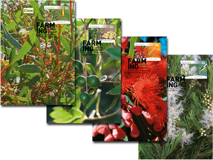 Farming Australia: Native Plants maximum cards