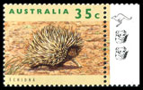 1 kangaroo + 2 koala printing
